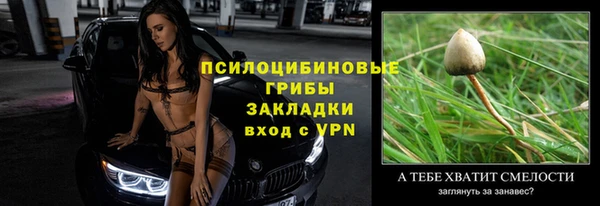 spice Балахна