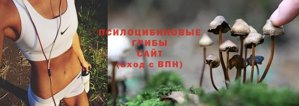 spice Балахна
