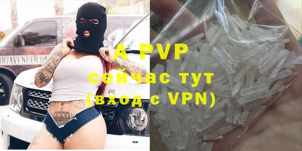 стаф Баксан