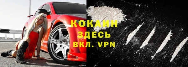стаф Баксан