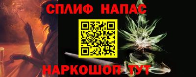 шишки Бийск