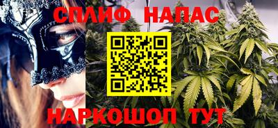 шишки Бийск