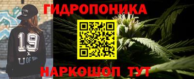 шишки Бийск