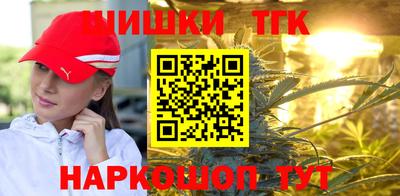 шишки Бийск