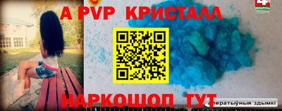 шишки Бийск