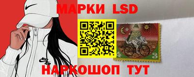 шишки Бийск