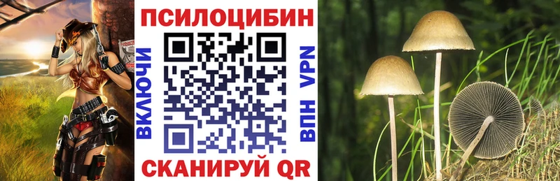 Галлюциногенные грибы GOLDEN TEACHER  цены наркотик  блэк спрут сайт  Белово 