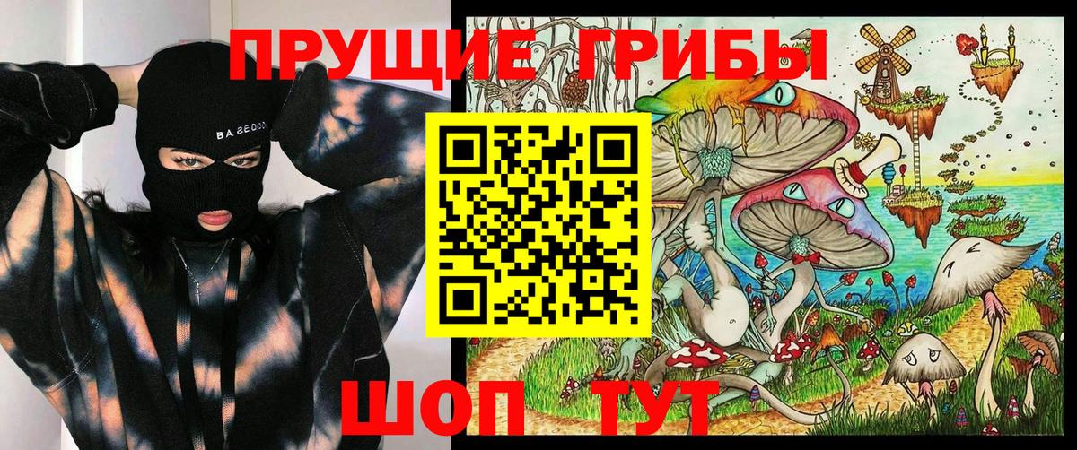 Псилоцибиновые грибы мицелий Белово