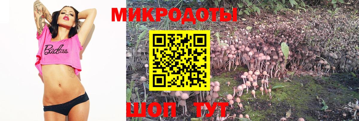 Белово  Галлюциногенные грибы Cubensis  Вход с VPN 